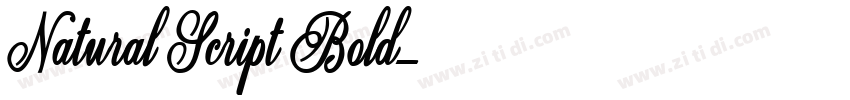 Natural Script Bold字体转换